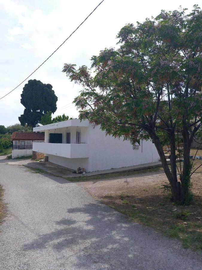 White Dream House Διαμέρισμα Κως Πόλη Εξωτερικό φωτογραφία